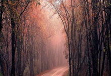 beat365:CBA常规赛:天津先行者不敌广东东阳光.