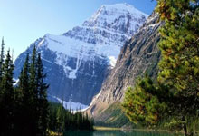 beat365唯一:阿根廷冠軍中場披10號戰袍 利物浦官宣麥卡利斯特加盟.